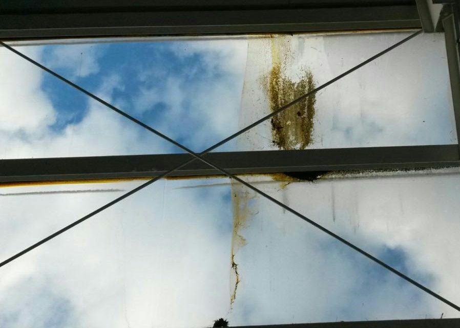 fensterreinigung